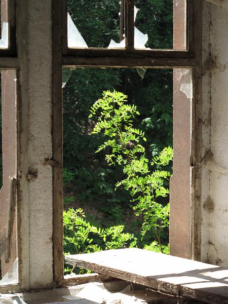 Kriebstein-Papierfabrik (25).JPG